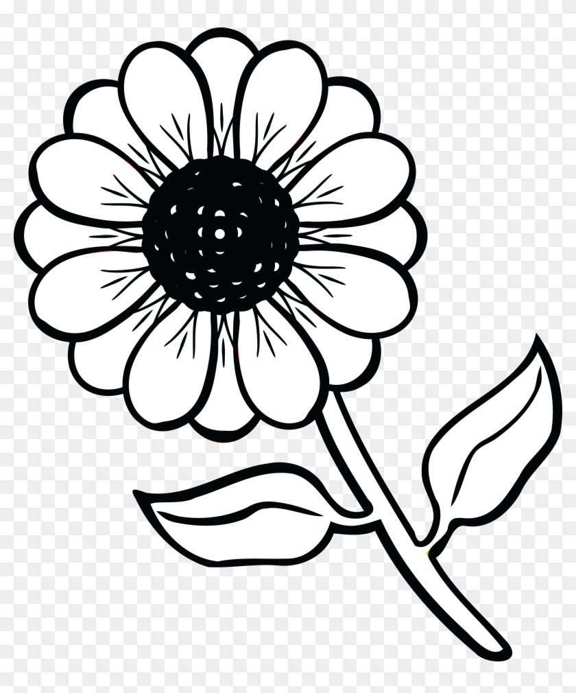 Free Clipart Of A Daisy Flower - Flower Picture Black And White - Png Download