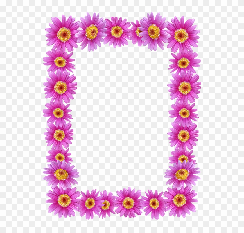 Frame, Border, Daisies, Floral, Decorative - Picture Frame Clipart