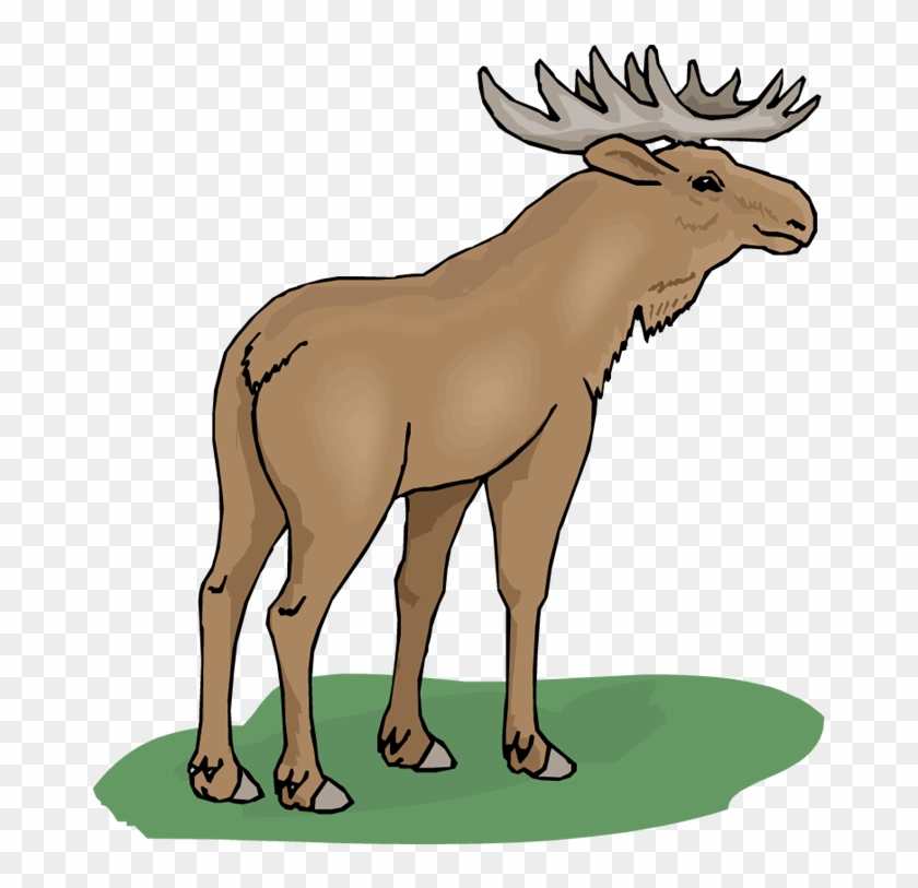 Free Moose Free Download Clipart - Moose Clipart - Png Download #102545