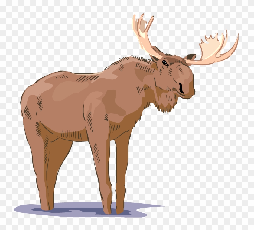 750 X 678 3 - Clip Art - Png Download #102587