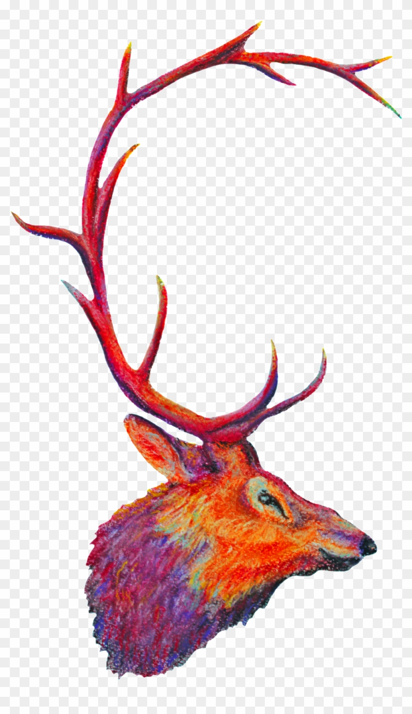 Animal Moose Transparent Decorative - Elk Clipart #102753