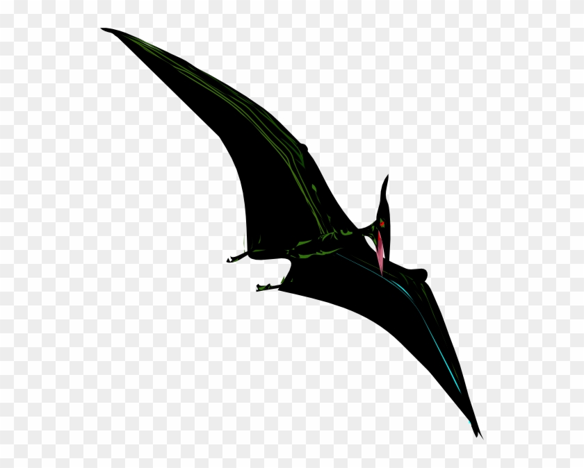 Small - Type Of Dinosaur Clipart