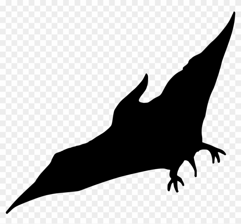 Download Png - Bottlenose Dolphin Clipart #105252