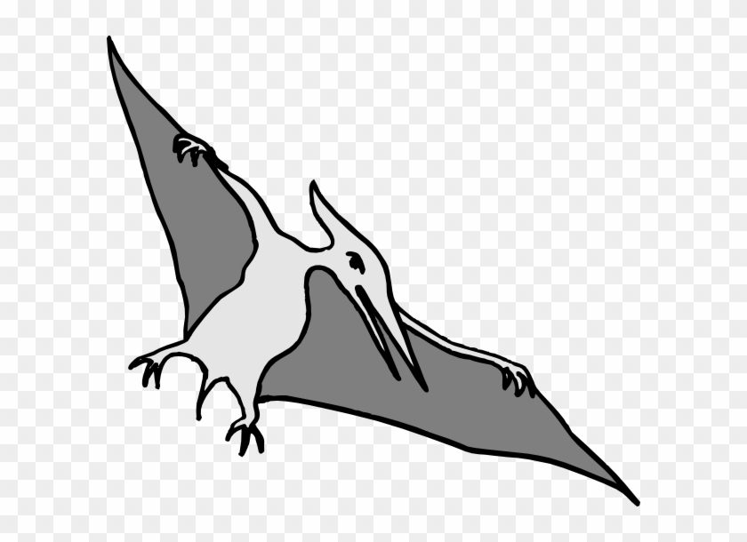 Simple Pterodactyl Art Clip Art At Clker Com Vector - Illustration - Png Download