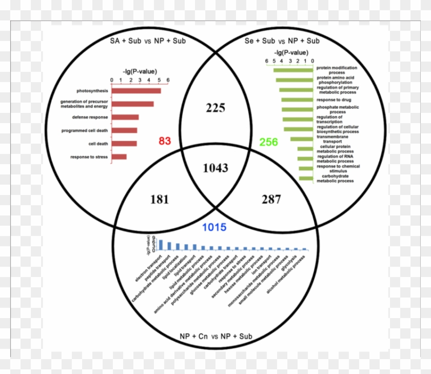 Venn Diagram Of The Up-dets Enriched With Go Database - Horizon Observatory Clipart #106477