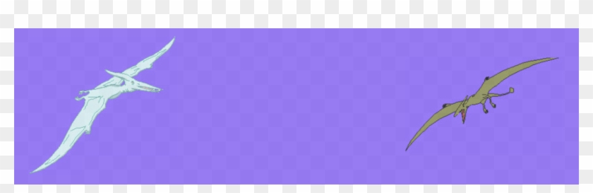 Lilac Clipart #106499