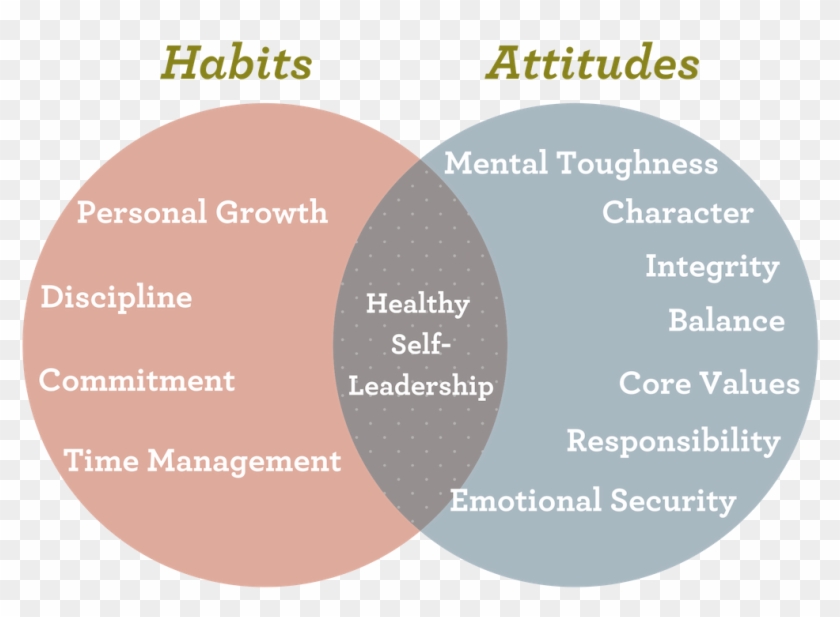 Character Education Venn Diagram - Circle Clipart