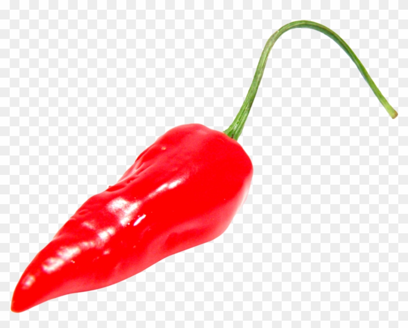 Free Png Download Red Chili Pepper Png Images Background - Red Hot Pepper Png Clipart #106950