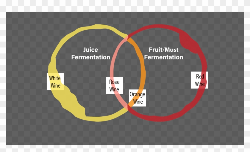 Rainbow Of Wine, Shorthand Or Venn Diagram - Circle Clipart #107143