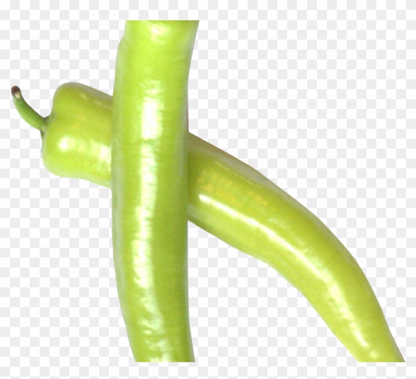 Green Chili Pepper Png Image - Bird's Eye Chili Clipart