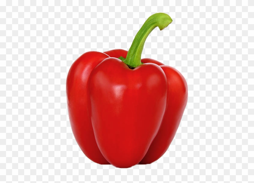 Ingredientes Para El Arroz Con Pollo Clipart