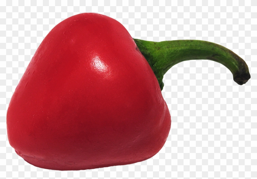 Free Png Chili Pepper Png Images Transparent - Eggplant Clipart #108036
