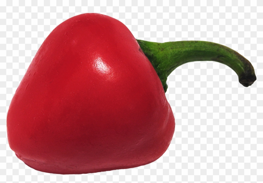 Free Png Chili Pepper Png Images Transparent - Eggplant Clipart