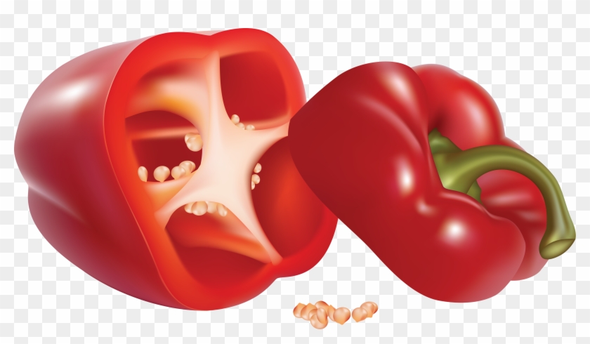 Realistic Bell Pepper Drawing Clipart