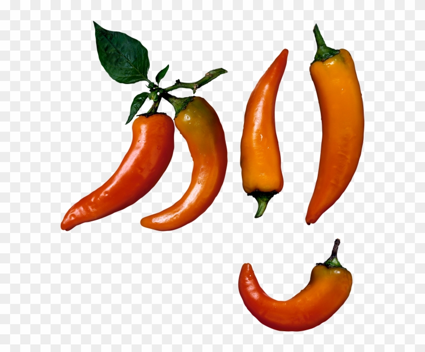 Chili Pepper Clipart #109177