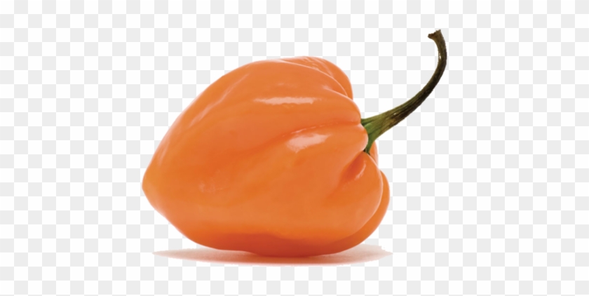 Pepper Transparent Habanero - Habanero Chili Clipart #109321