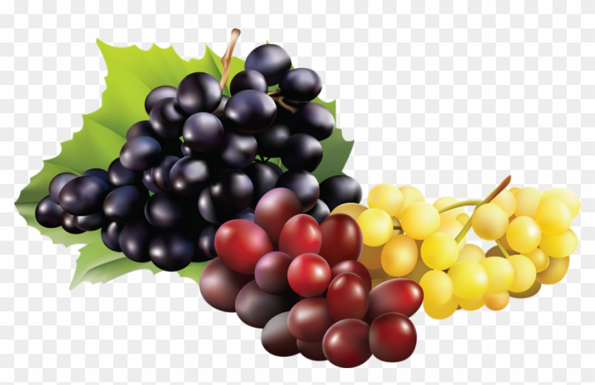 900 X 540 4 - Raisin Png Clipart #1000568