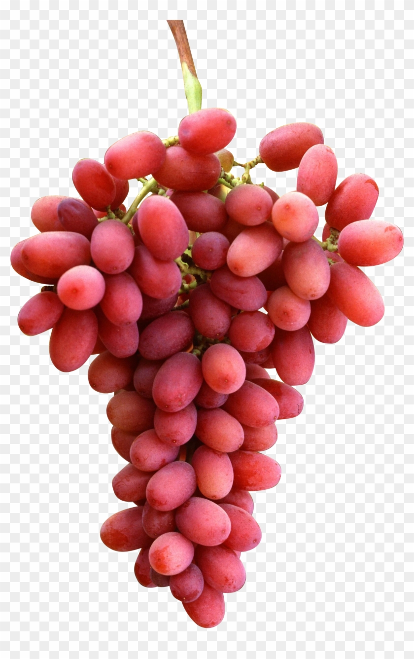 Crimson Seedless Üzüm Fidanı Clipart