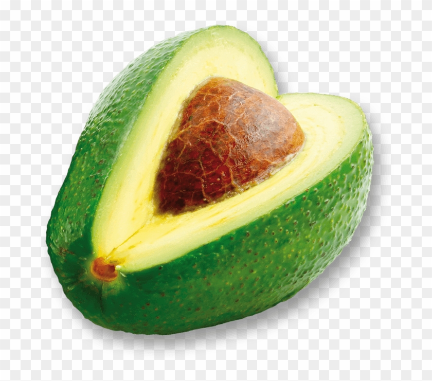 Avocado Clipart #1002056