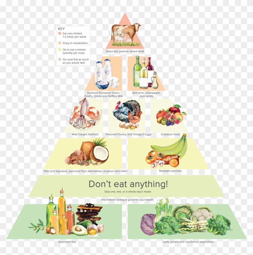 Steven Gundry Food Pyramid Clipart #1002556