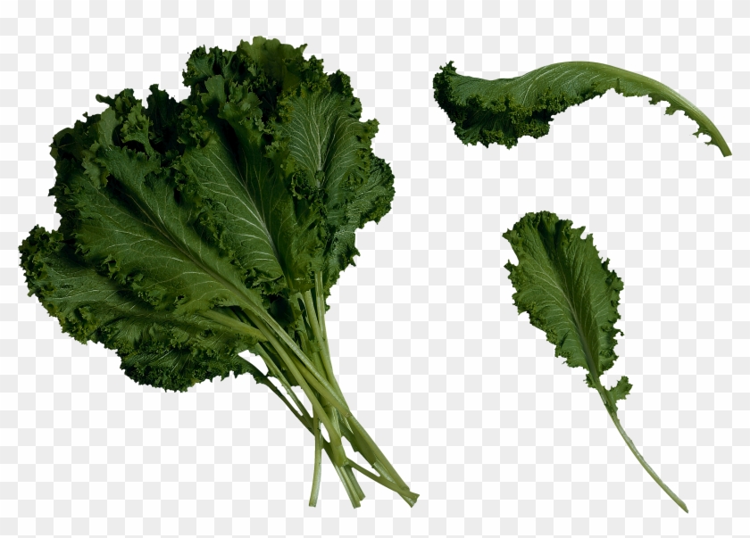 Salad Png Image - Mustard Greens Clipart