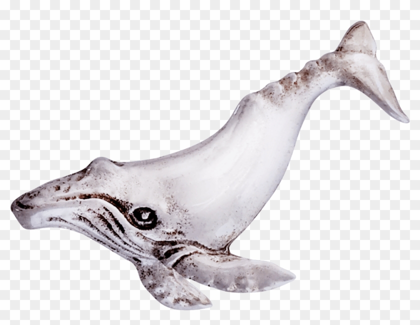 Humpback Whale Pin Creations, For Beauty, And Fun - Humpback Whale Clipart #1003209