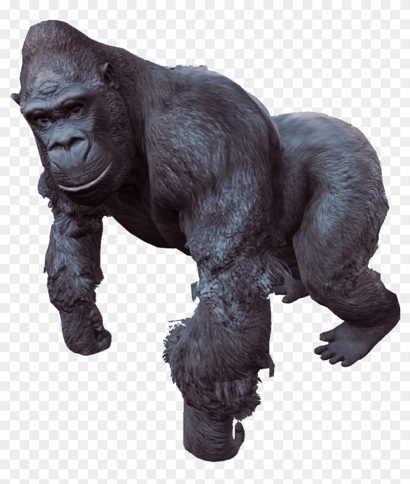 Gorilla - Transparent Gorilla Clipart #1003612