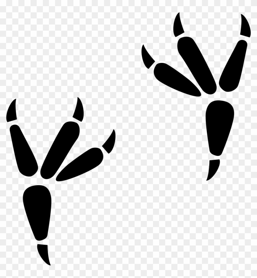 Png File Svg - Falcon Footprint Clipart #1003858