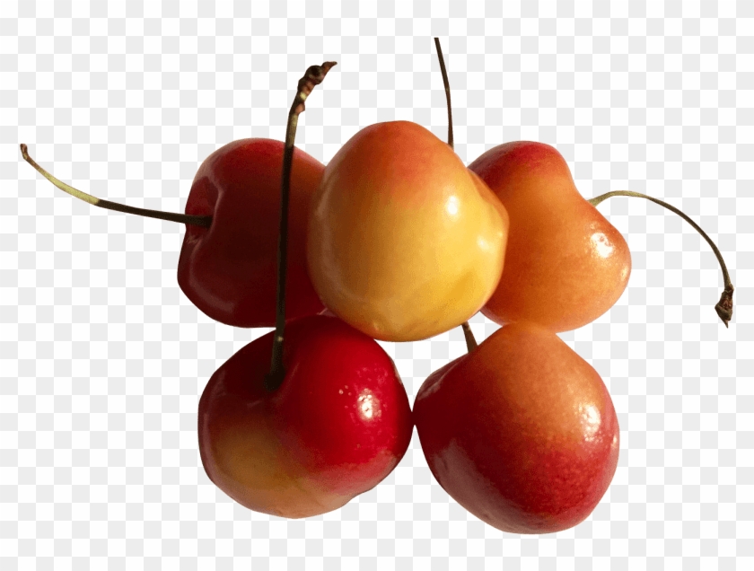 Free Png Rainier Cherry Png - Cherry Clipart
