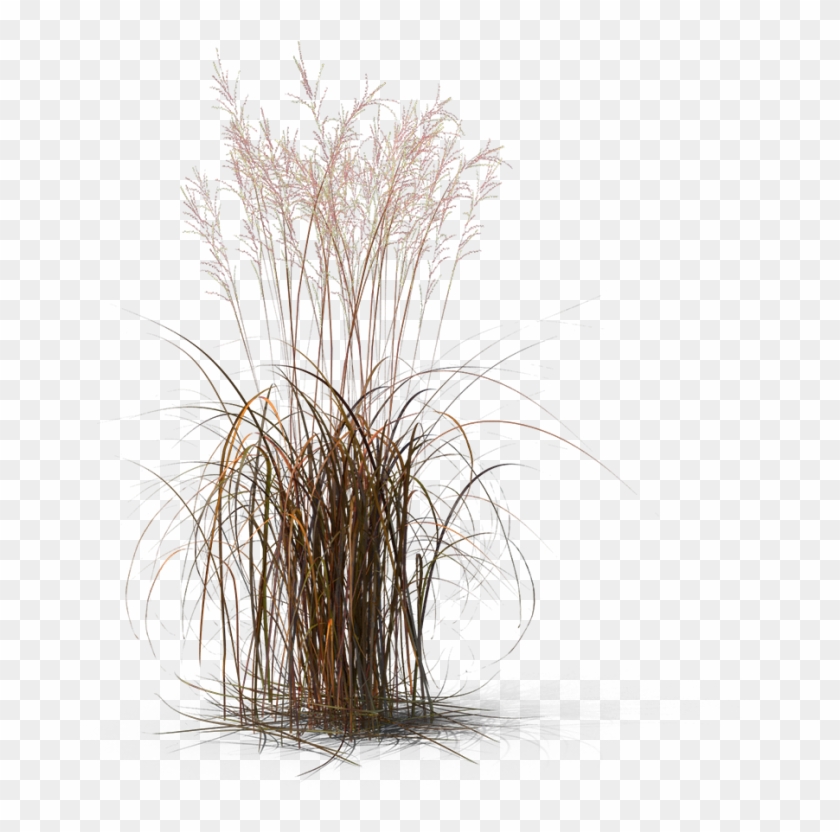 Showoff Shop Home Goods Decorate Renovate Stage Homes - Grass Clipart