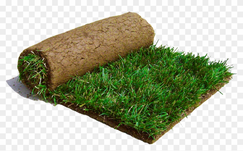 Sod - Grass Sod Clipart #1004019