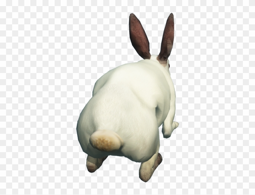 Free Download Of Rabbit Icon Clipart - Rabbit From Back Png Transparent Png #1005700