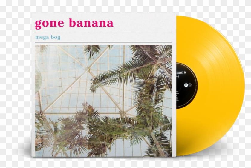 Megabog-record , Png Download Clipart