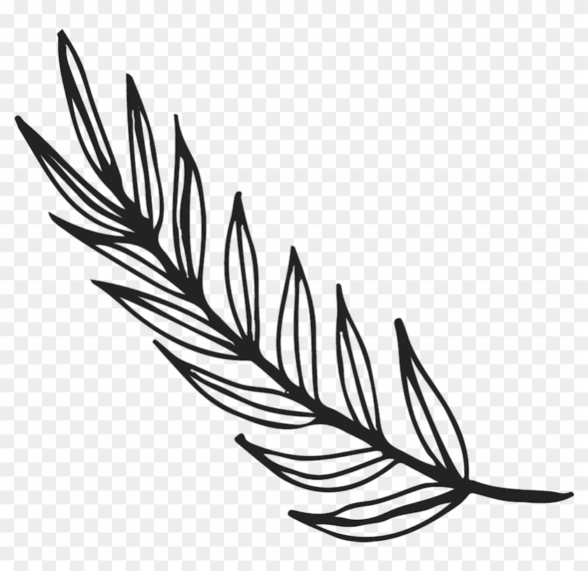 Branch With Long Leaves Rubber Stamp - Branch With Leaves Drawing Clipart