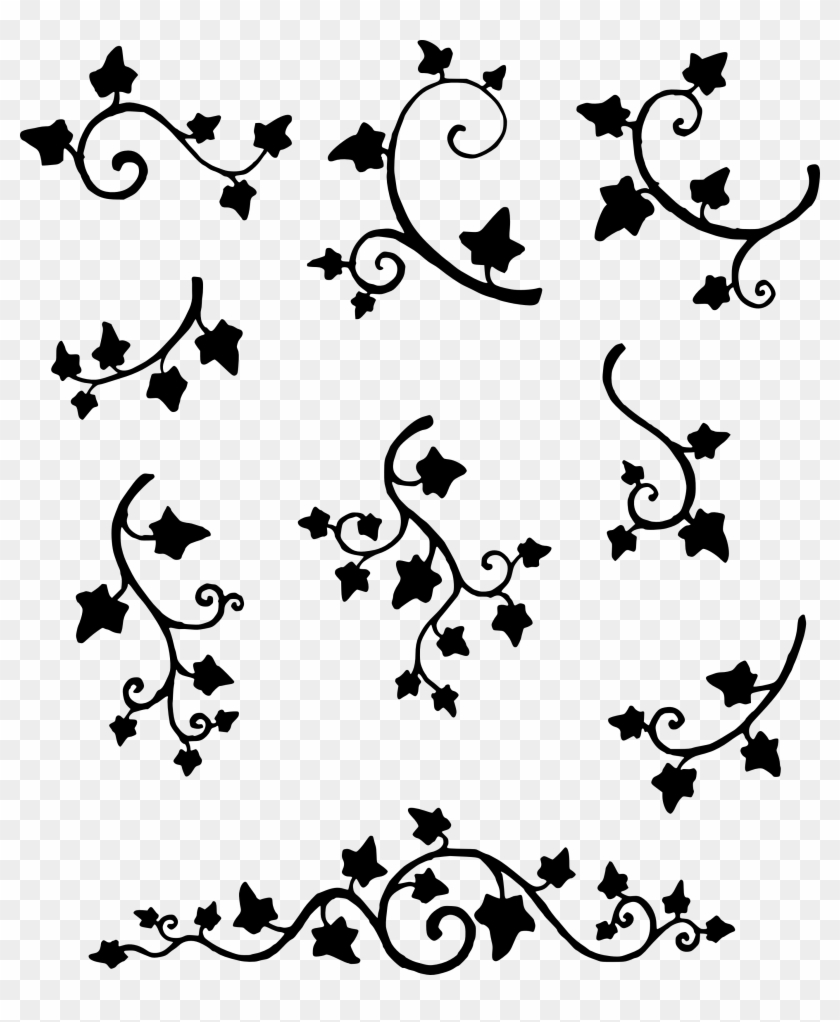 Drawn Ivy Vine Pattern - Ivy Vine Black And White Clipart #1007068