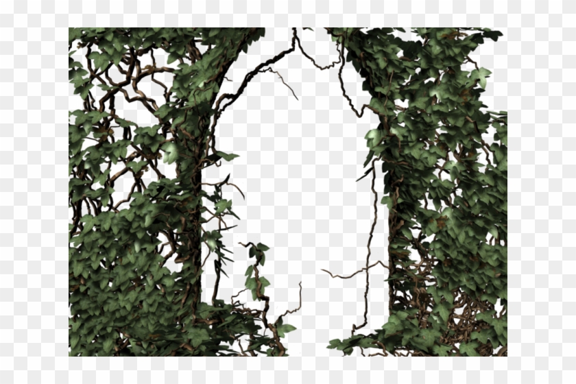 Gothc Clipart Ivy - Forest - Png Download #1007138
