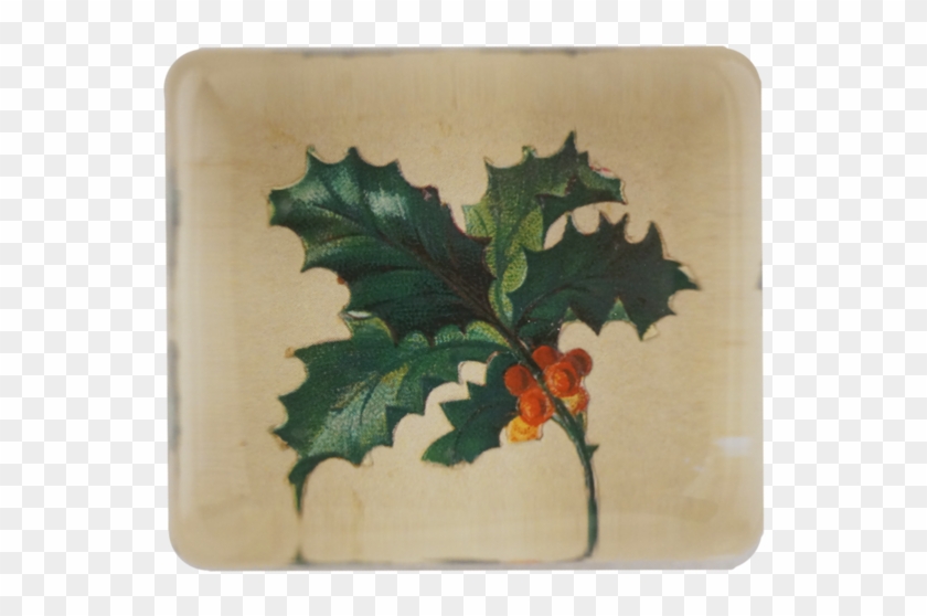 American Holly Clipart