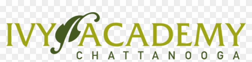 Ivy Png Clipart #1007317