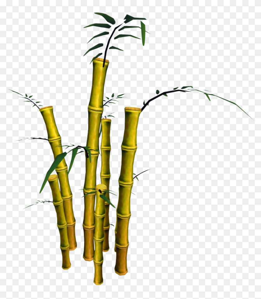 Bamboo Clipart