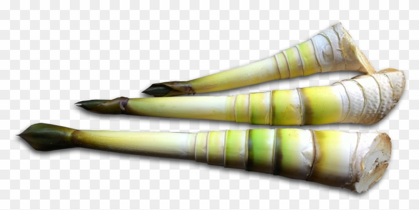 1600 X 726 4 - Leek Clipart