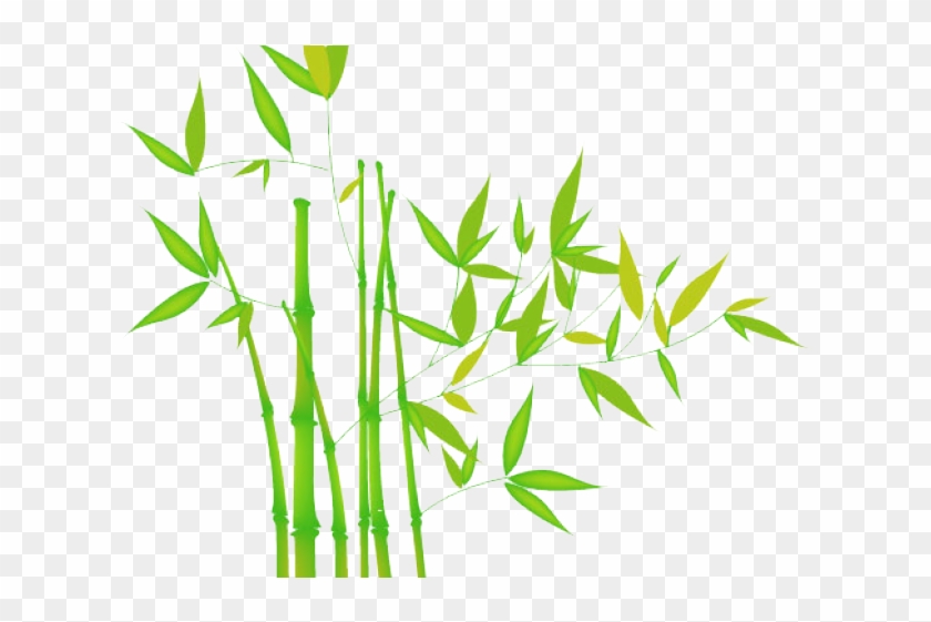 Transparent Background Bamboo Clipart Png #1008050