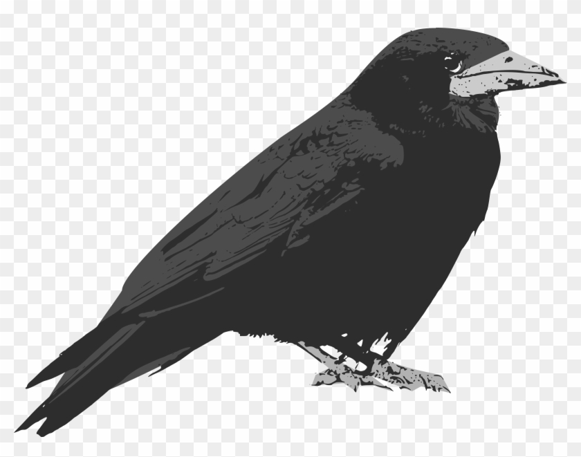Raven - Raven Bird Cartoon Clipart #1008138