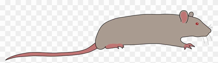 This Free Icons Png Design Of Rat By Rones Clipart #1008264