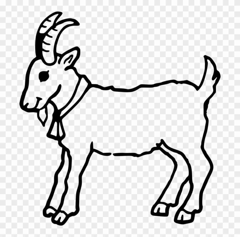 Boer Goat Coloring Book Cute Colouring Anglo-nubian - Outline Image Of Goat Clipart #1008515