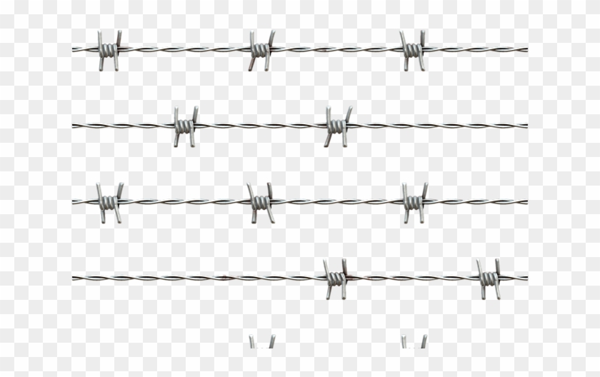 Barbwire Png - Barbed Wire Transparent Clipart #1009164