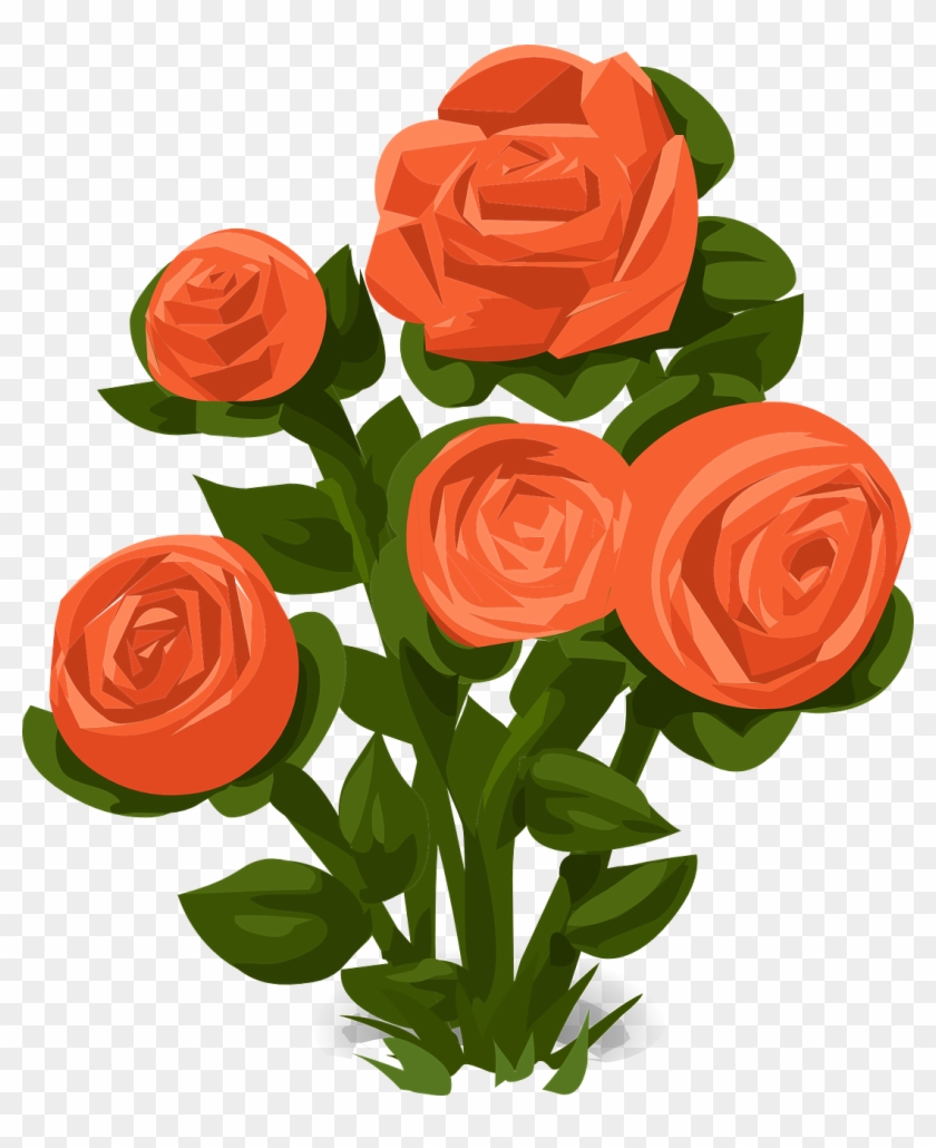 Rose Bush Roses Orange - Rose Bush Vector Png Clipart #1010034