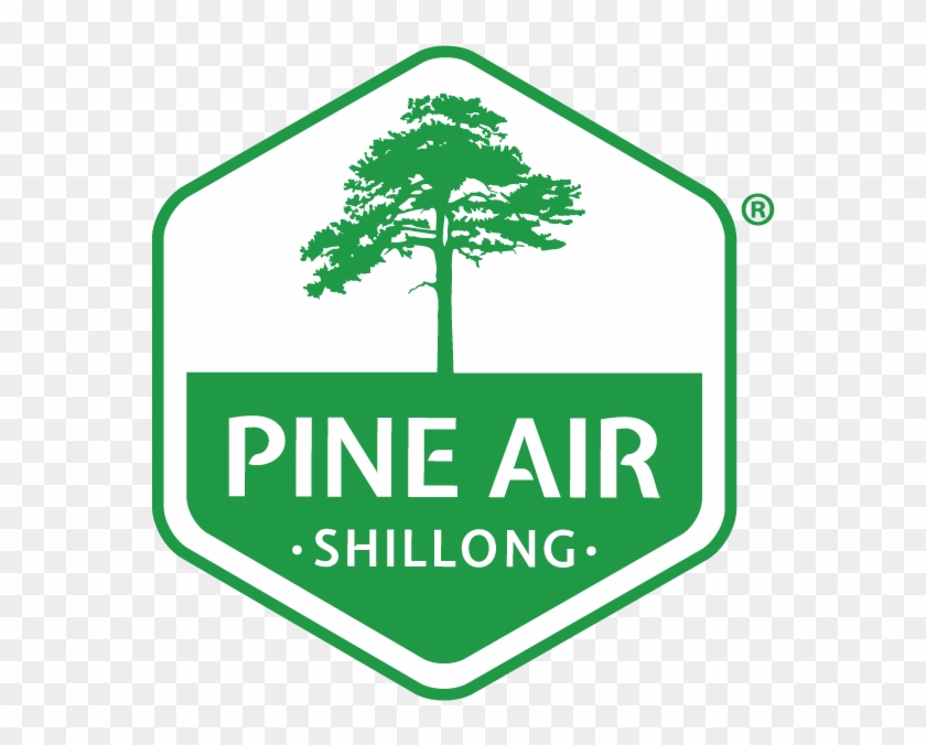 Logo Logo Logo Logo - Pine Png Logo Clipart #1010889