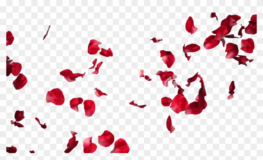 Falling Rose Petals Transparent Png - Rose Petals For Photoshop Clipart@pikpng.com