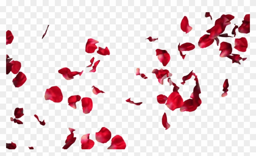 Falling Rose Petals Transparent Png - Rose Petals For Photoshop Clipart