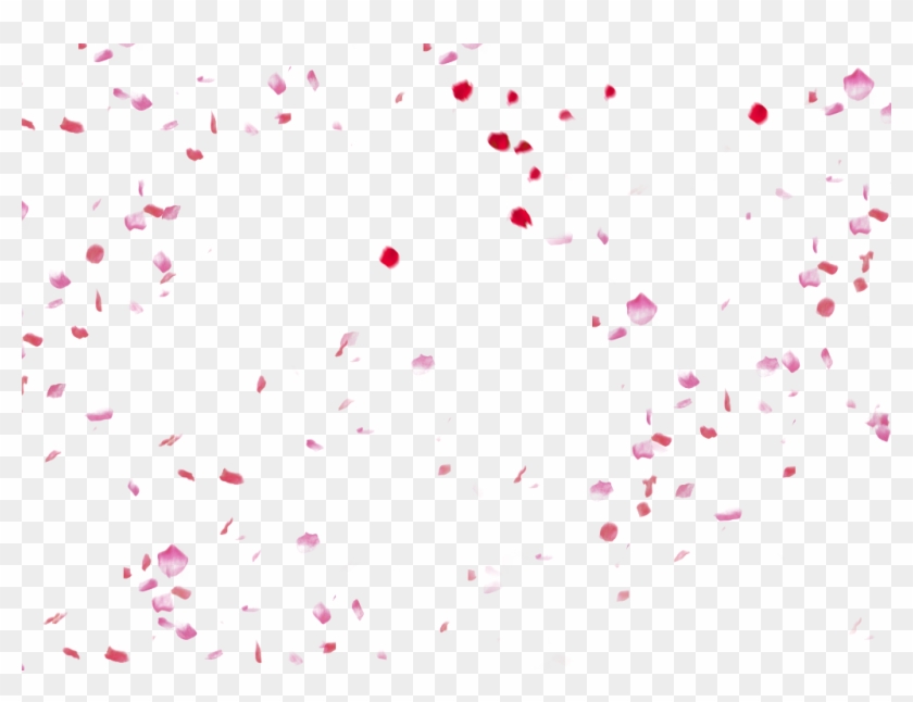 Report Abuse - Peach Petals Png Clipart #1011001